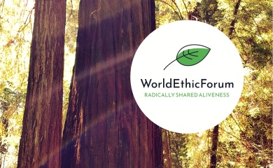 WorldEthicForum am 22. Juni 2025 im Volkshaus Zürich