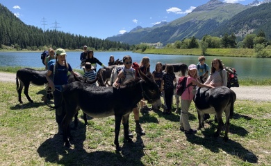 Nächste Eselreise: 2. bis 6. August 2025