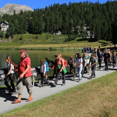 Eselreise 2026: Mit Kindern und Eseln, Liedern und Natur