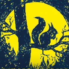 Waldkonzerte für alle!