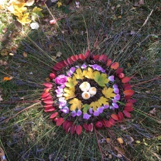 Terra pels Peis / den Füssen ein Grund