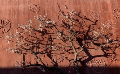 Kurs zum Thema «Sterben für Anfänger»